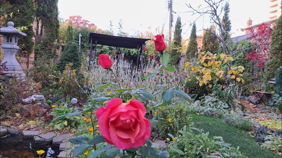 Peaceful Gardening & Care | Perennial Garden Zone 5