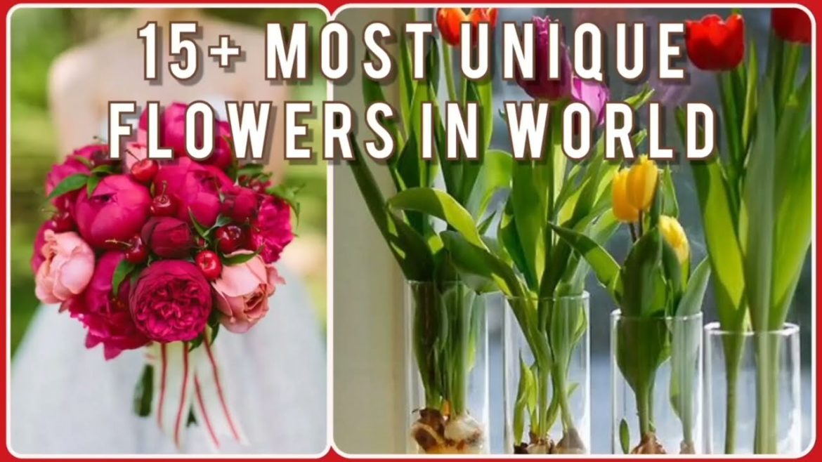 15 Most Unique Flowers l How To Grow Most Beautiful Flowers Ideas 💡  @3X GARDENING