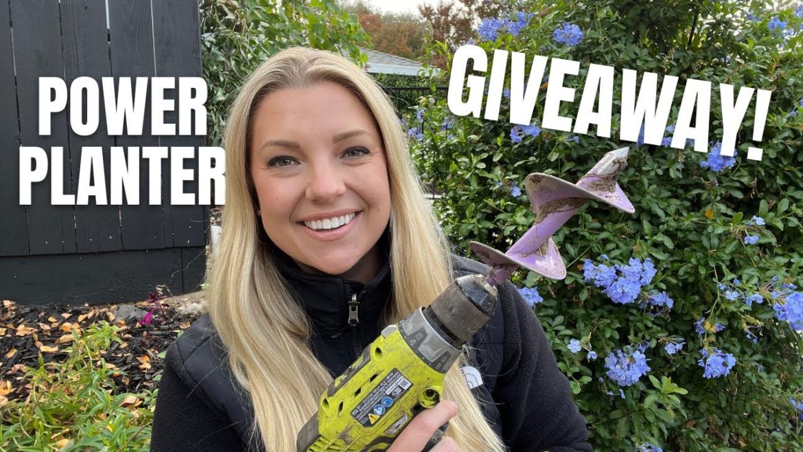 📣GIVEAWAY TIME!📣 Planting Alliums in Zone 9 AND Power Planter Garden Auger Starter Pack Giveaway! 📣GIVEAWAY TIME!📣 Planting Alliums in Zone 9 AND Power Planter Garden Auger Starter Pack Giveaway!