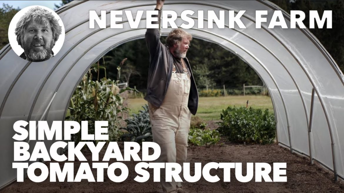 Simple Backyard Tomato Structure