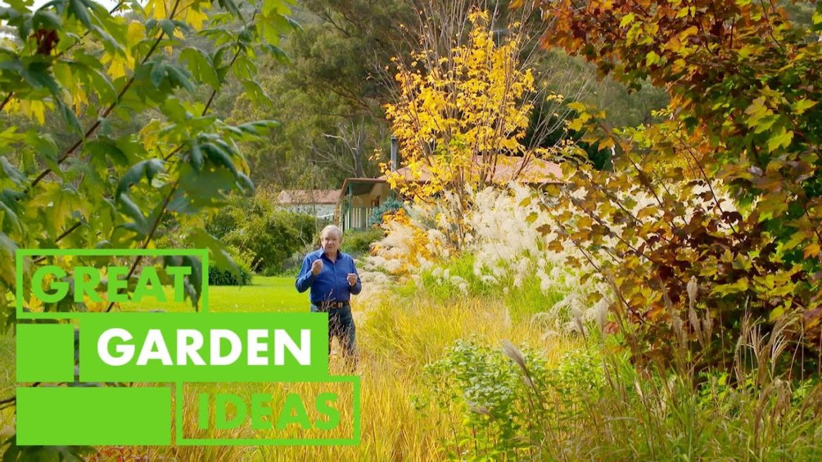 Wild Meadows Garden Walkaround | GARDEN | Great Home Ideas Wild Meadows Garden Walkaround | GARDEN | Great Home Ideas