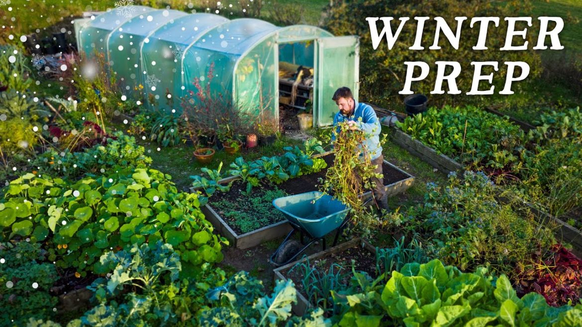 Huw Richards: 16 Easy Tips for Winter Gardening Prep 16 Easy Tips for Winter Gardening Prep