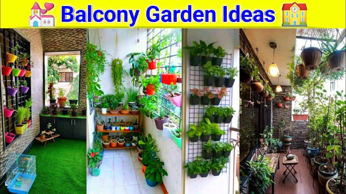 Balcony Garden Ideas | Balcony Garden plants | Balcony Garden design |Balcony Garden decoration Idea Balcony Garden Ideas | Balcony Garden plants | Balcony Garden design |Balcony Garden decoration Idea