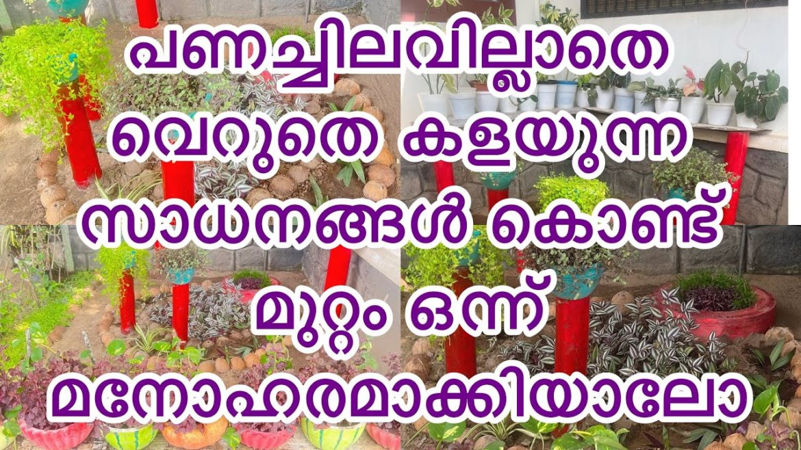 Zero cost garden makeover |gardening ideas with waste material | gardening for home | courtyard