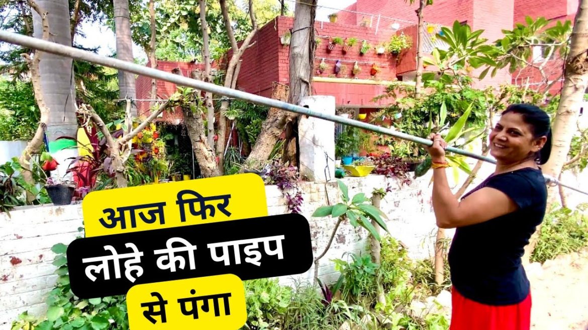 आज फिर लोहे की पाइप से पंगा | Gardening Ideas at Home | Rakhi Dinesh Arya आज फिर लोहे की पाइप से पंगा | Gardening Ideas at Home | Rakhi Dinesh Arya