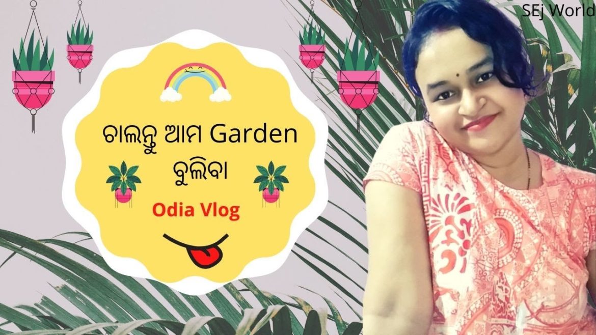 🔴 ଆମ Garden Tour | Gardening Tips | Beautiful Flower photography | Odia Vlog | SEj World