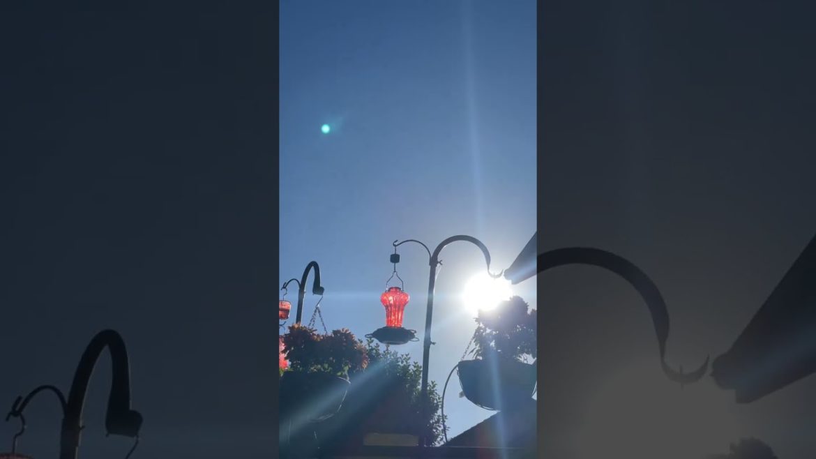 L.A. Storm-The Morning After