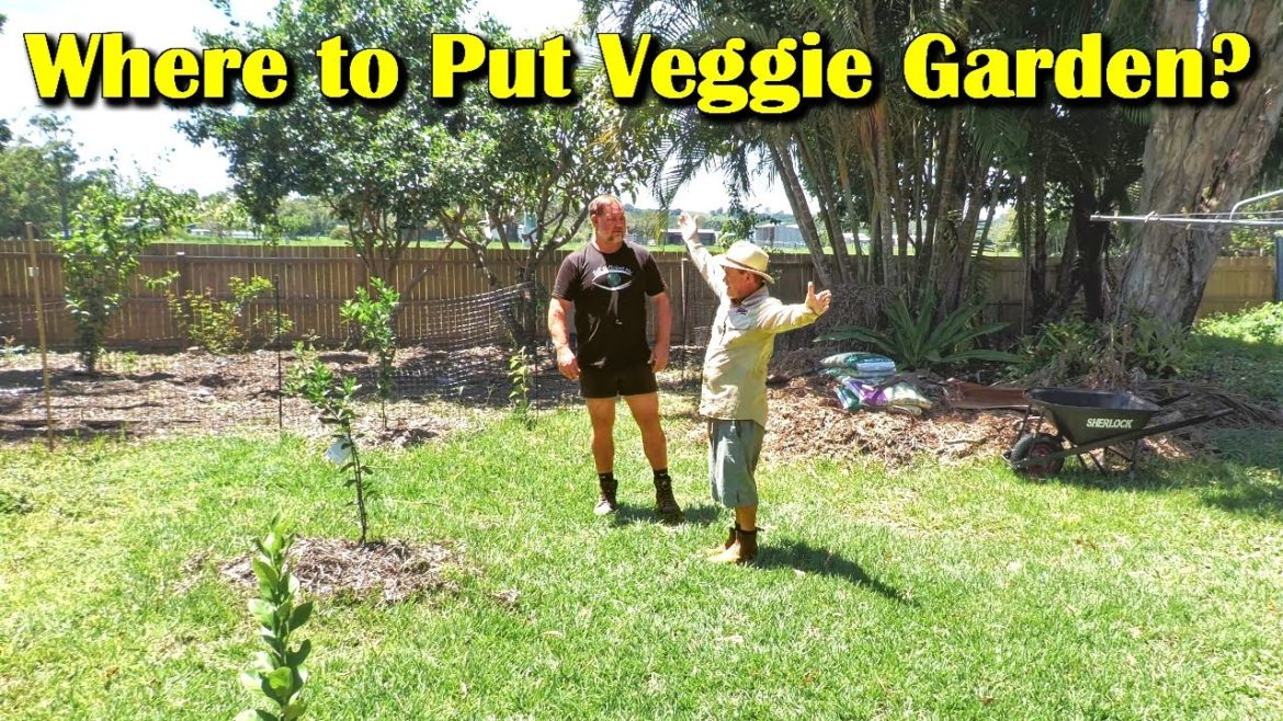 Choosing the Best Position for a Vegetable Garden
