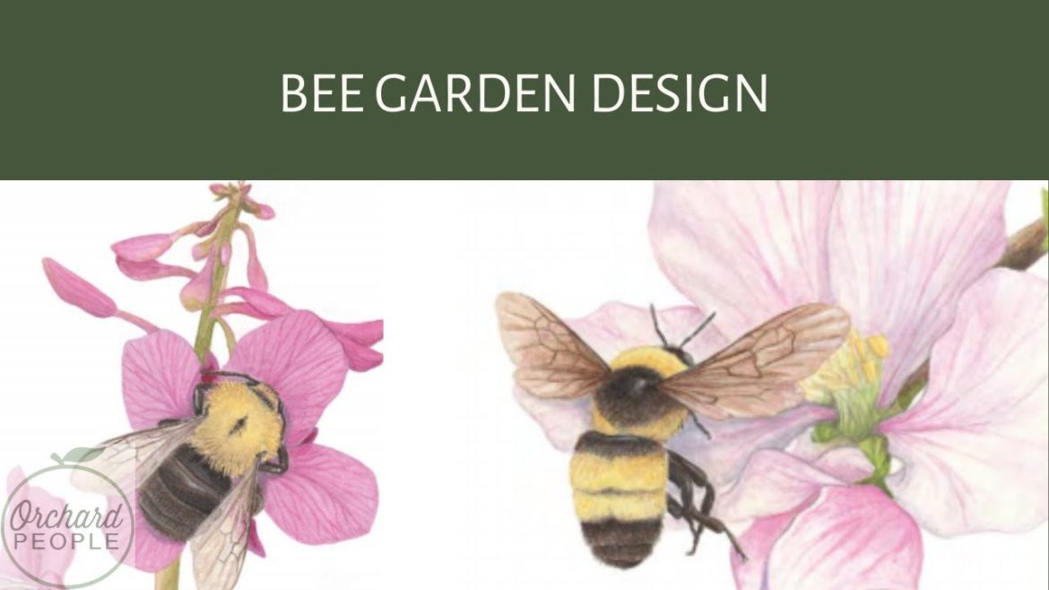 Bee Garden Design with Lorraine Johnson Bee Garden Design with Lorraine Johnson