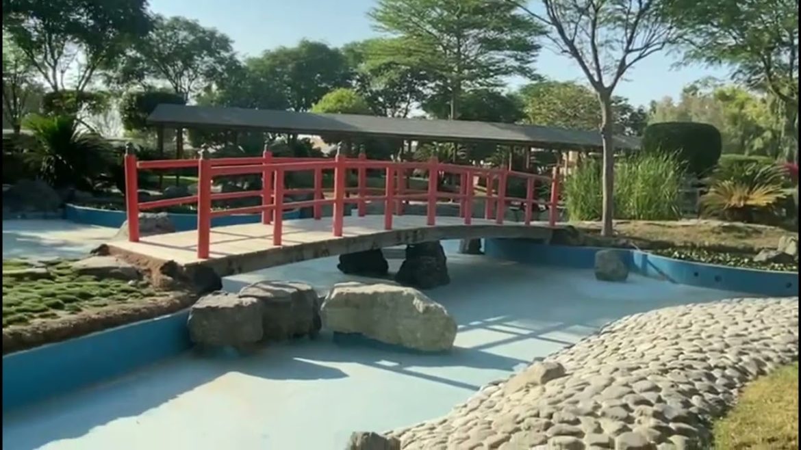 Japanese Garden design Ideas