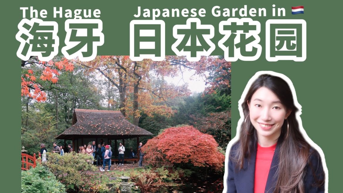 Japanese Garden in The Hague ｜Beautiful autumn Vlog🍁Netherlands｜绝美金秋🍁海牙日本花园vlog｜仅开2⃣️周｜荷兰｜留学｜旅游｜秋天