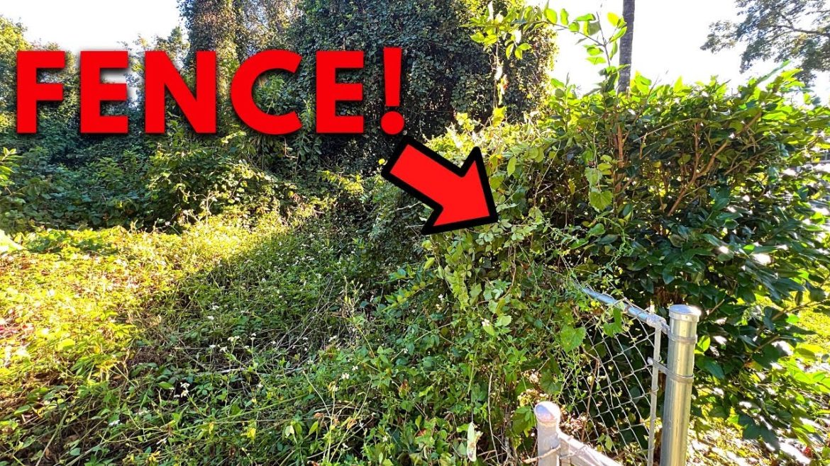 ELDERLY Couple FORGOT they had a Fence! Until I Transformed Their Yard - HUGE clean up.