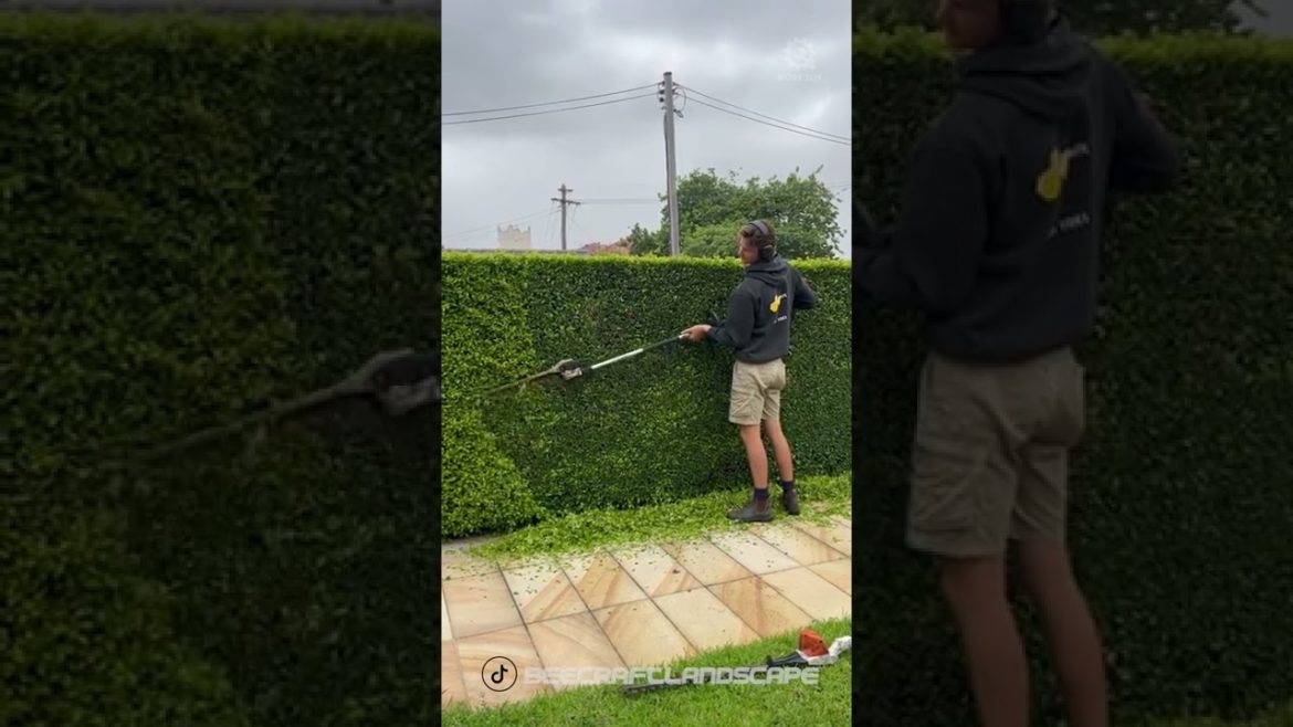 Gardener on another  level Gardener on another  level