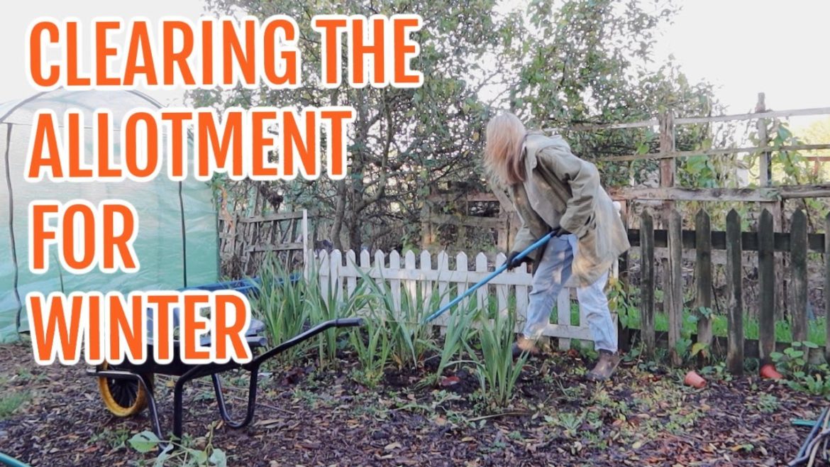 CLEARING THE ALLOTMENT FOR WINTER / NOVEMBER 2022 / EMMA'S ALLOTMENT DIARIES CLEARING THE ALLOTMENT FOR WINTER / NOVEMBER 2022 / EMMA'S ALLOTMENT DIARIES