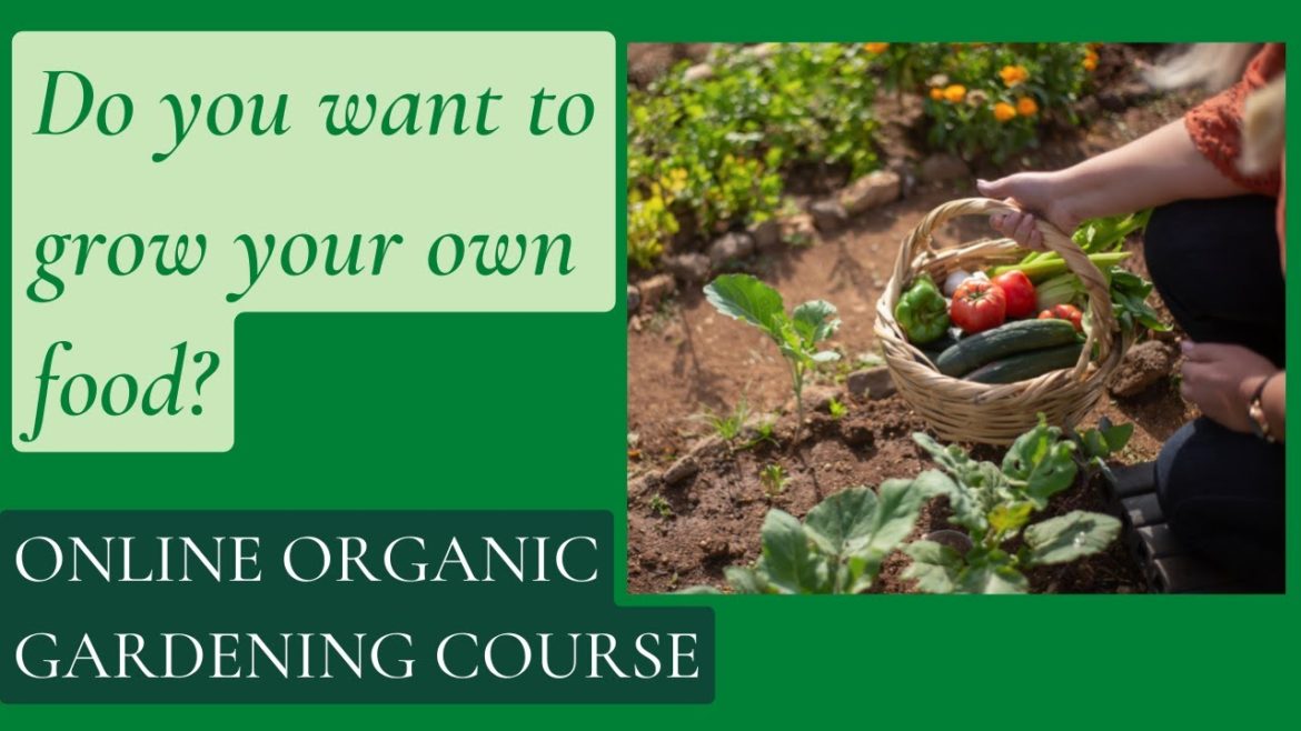 Do You Want To Grow Your Own Food But Don't Know How? The Organic Gardening Course Online! Review! Do You Want To Grow Your Own Food But Don't Know How? The Organic Gardening Course Online! Review!