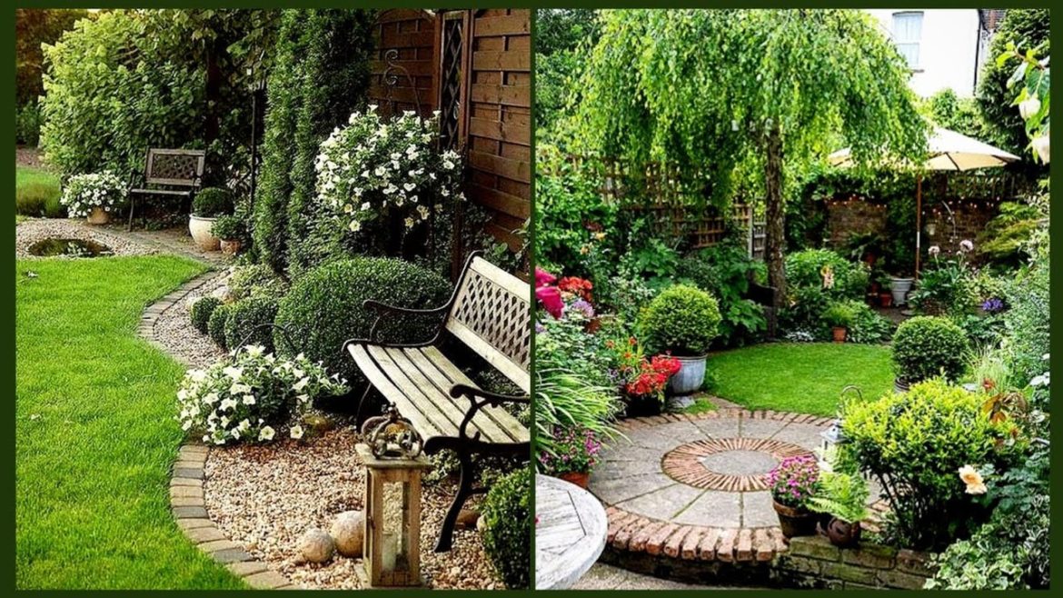 Beautiful Backyard Garden Decoration Ideas|| Different Ideas For Backyard Garden Decoration