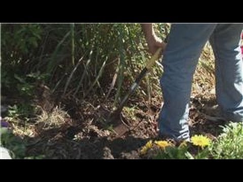 Beginners' Gardening Tips : How to Arrange Flower Gardens Beginners' Gardening Tips : How to Arrange Flower Gardens