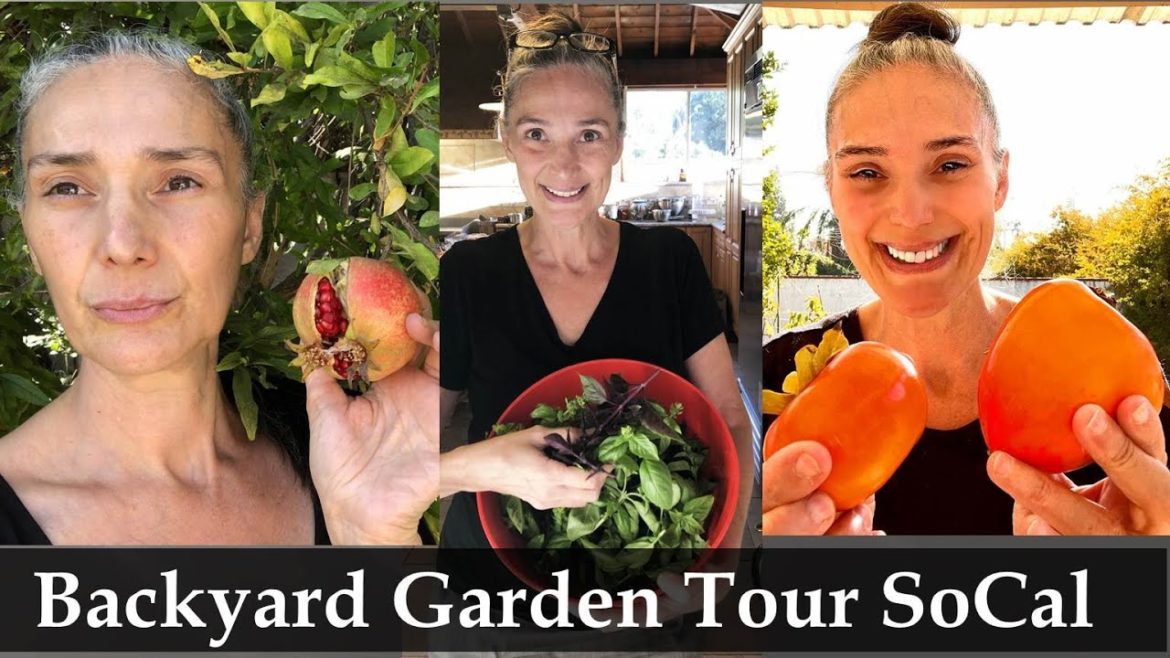 Backyard Garden Tour | Vegetable Garden, Fruit Trees, Tropical Fruit Tress