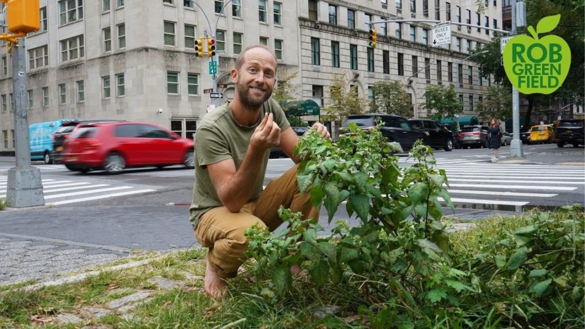 Foraging 100% of My Food For a Month - Learn 40+ of the Plants I ate!