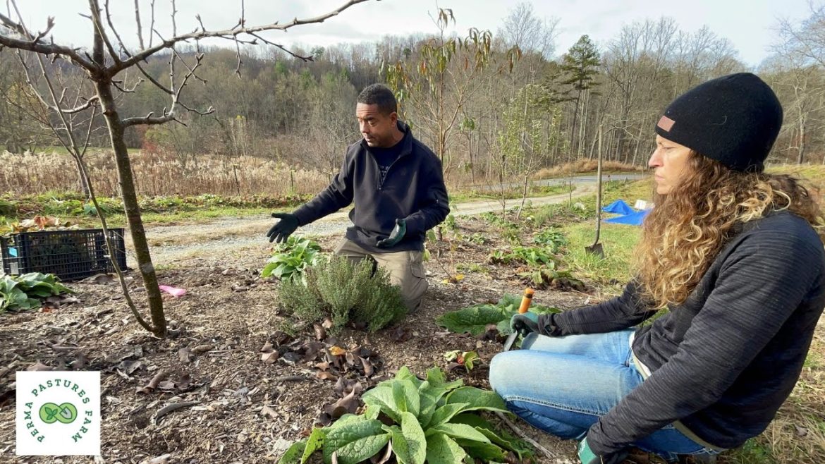 Transplanting Strawberries and Flipping Compost