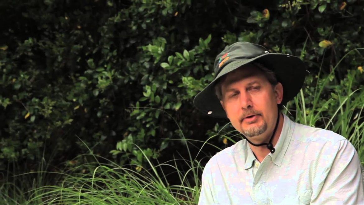 How to Xeriscape a Yard With No Grass : Landscaping Designs & Ideas How to Xeriscape a Yard With No Grass : Landscaping Designs & Ideas