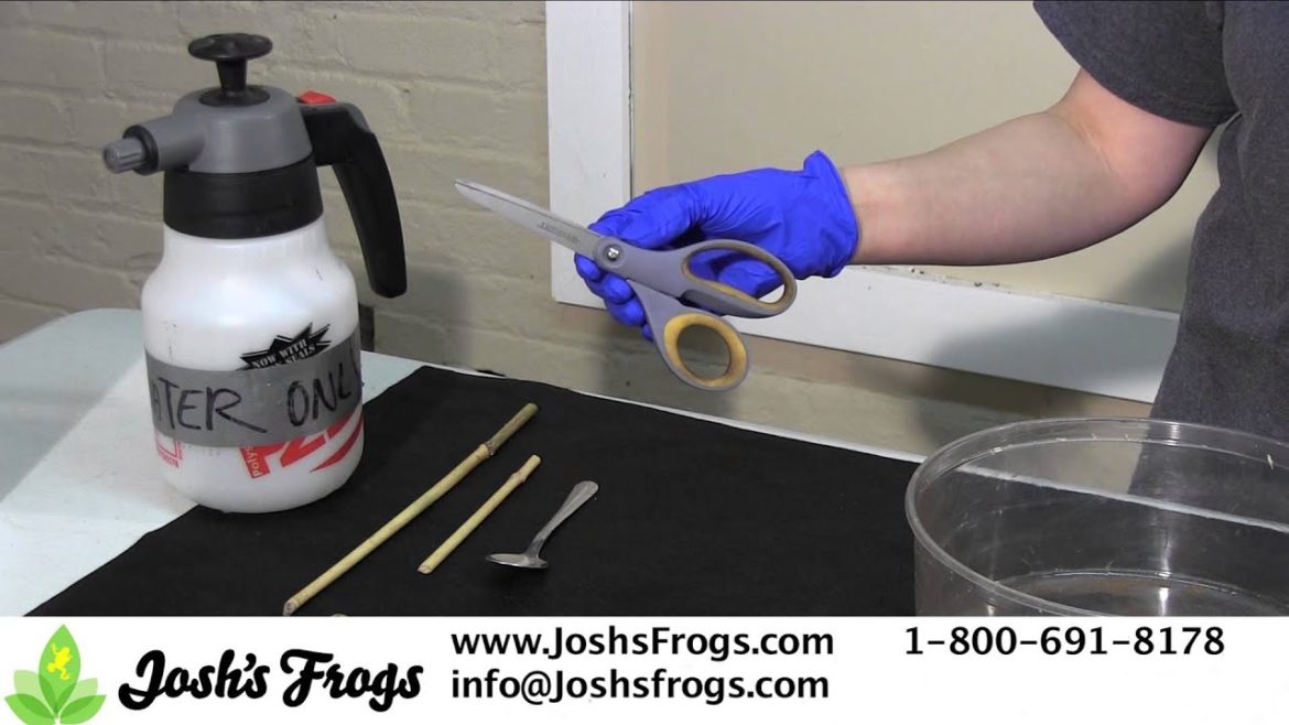 The Supplies you NEED for a Container Garden, Fairy Garden, or Terrarium