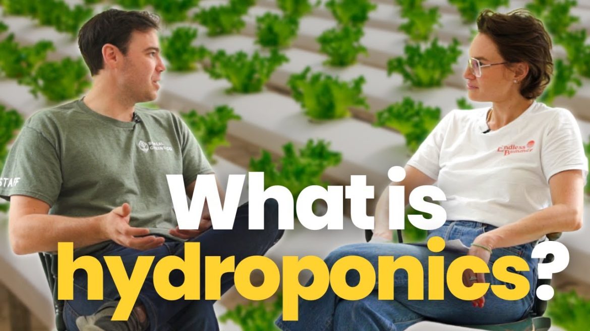 Hydroponics, aquaponics, aeroponics: the science of growing without soil Hydroponics, aquaponics, aeroponics: the science of growing without soil