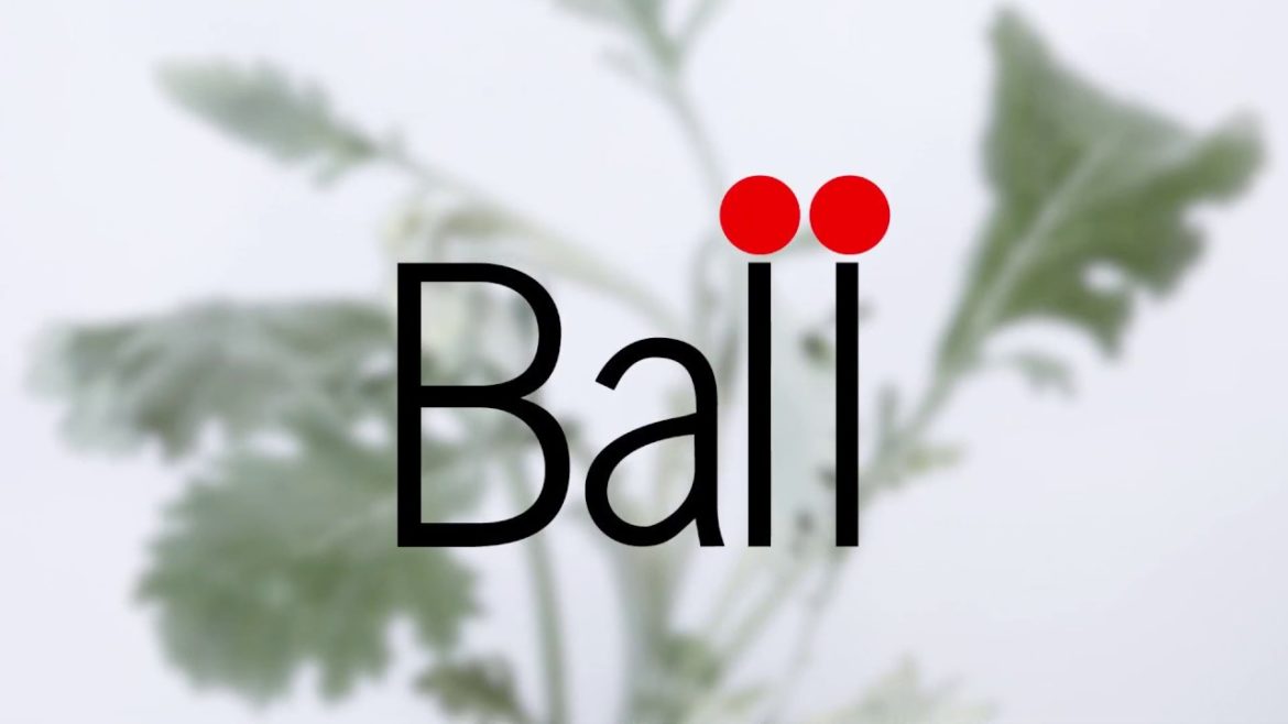 Flower Trends Forecast 2020: Ball SB