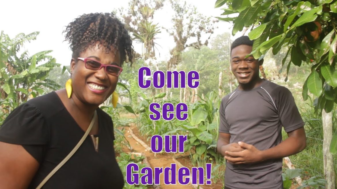 Virtual Tour - Backyard Garden
