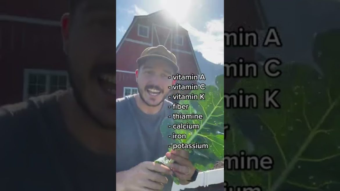 Broccoli Gardening Tips  #shorts #gardening #gardeningtips #broccoli