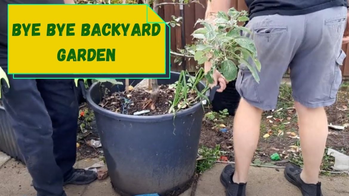 Bye  Bye Backyard Garden