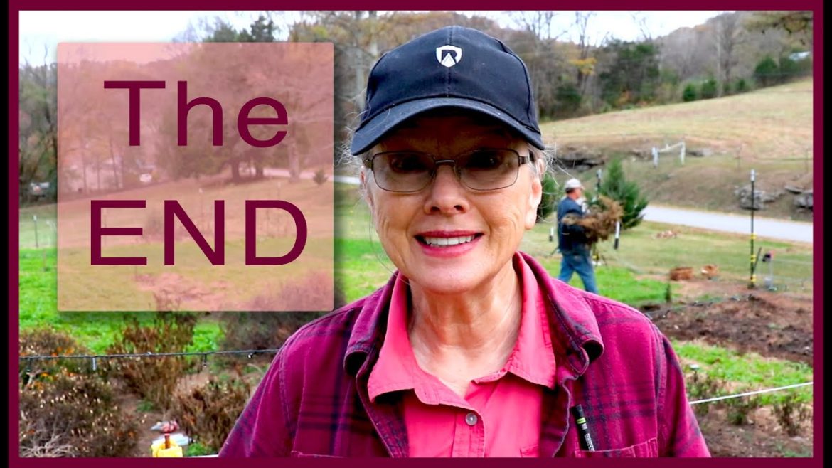 Kaye Kittrell: Putting the BIG garden to BED with a STORM brewing! Putting the BIG garden to BED with a STORM brewing!