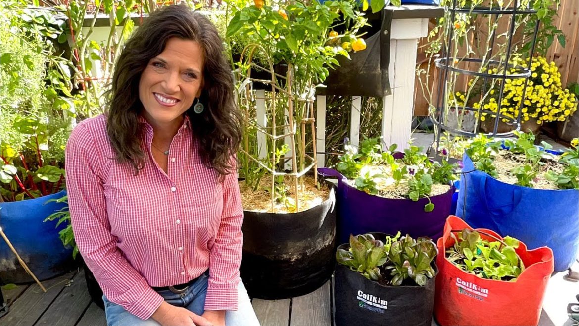 ☃️ Grow a Winter Container Vegetable Garden - In Any Climate!