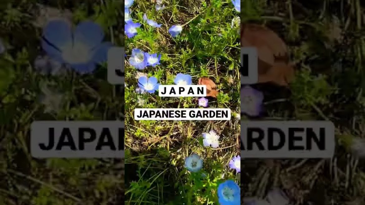 Beautiful Japanese garden in Osaka.