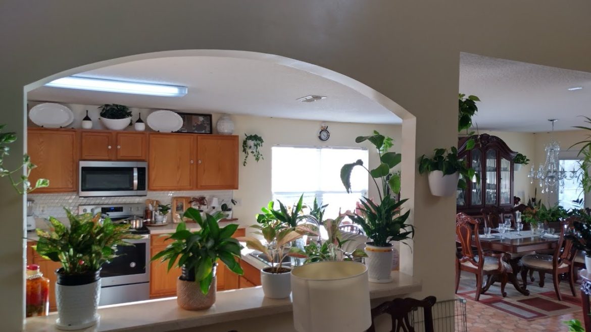 November Houseplants tour| #kitchen home decor| #bestkitchenindoorplants|#decoratingwithplants