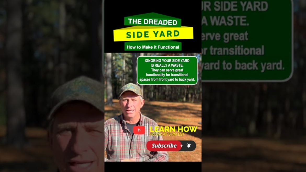 Don't Ignore Your Side Yard ๐ฎโ๐จ | How to Make that Skinny Side Yard Functional Don't Ignore Your Side Yard ๐ฎโ๐จ | How to Make that Skinny Side Yard Functional