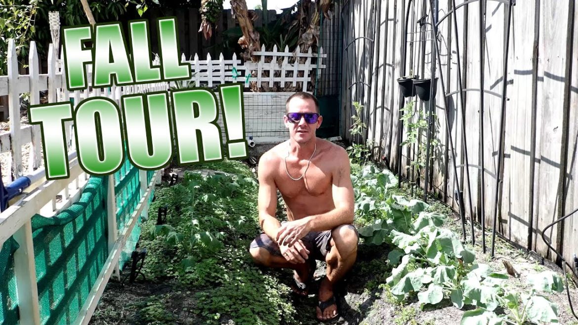Backyard Garden Tour Fall 2022 in 4K - Florida Food Forest Urban Permaculture Project