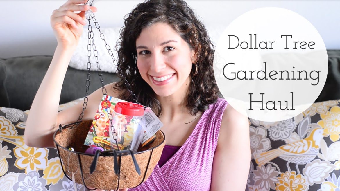 Dollar Tree Gardening Haul | Spring 2016 Dollar Tree Gardening Haul | Spring 2016