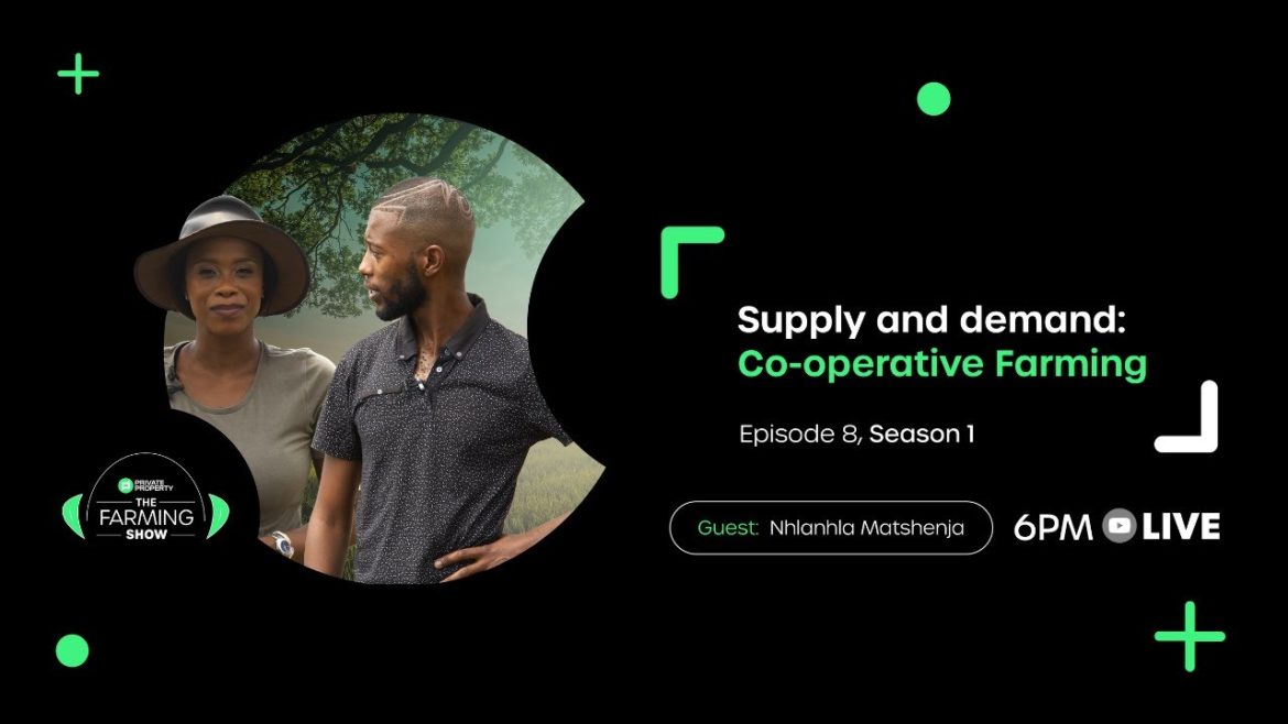 Supply and Demand From A Small-Scale Farmer | S1 Ep 08