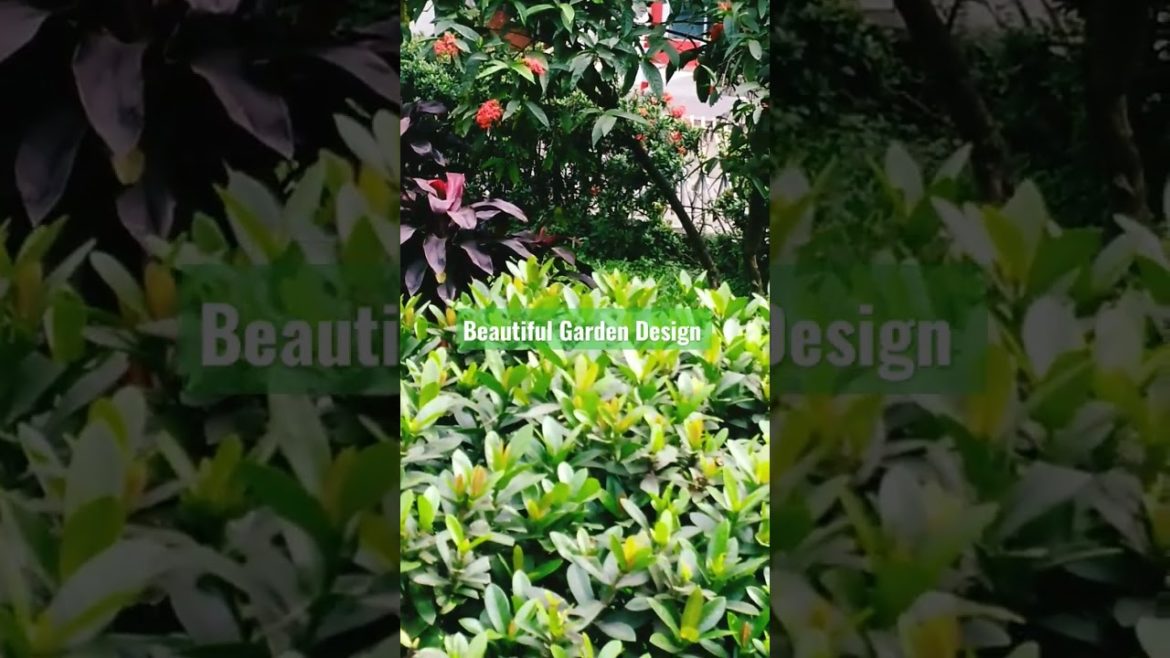 Beautiful Garden Design and Decoration Tree for all 🌍.