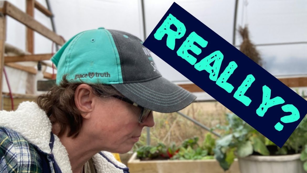 Atrocious! Has it really come to this?