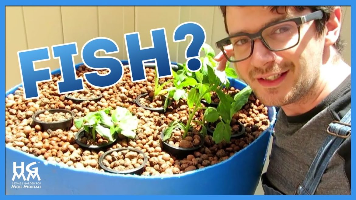 Use FISH to Grow a Small Space Container Garden. Really! Use FISH to Grow a Small Space Container Garden. Really!