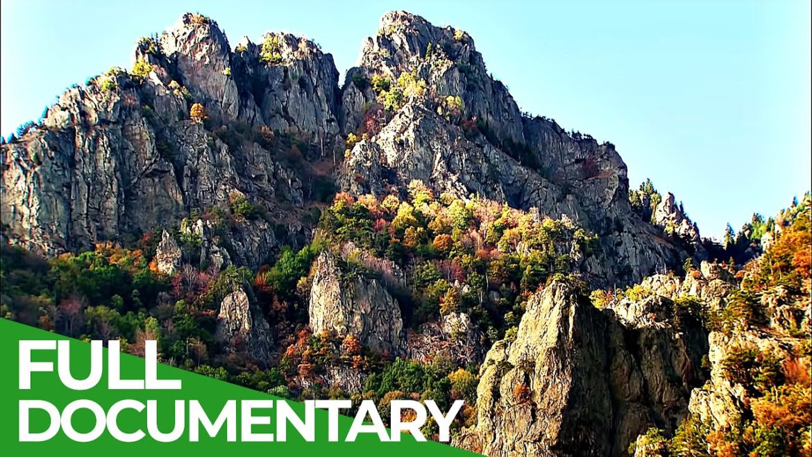 Wild Carpathia | Episode 2: From the Mountains to the Sea | Free Documentary Nature Wild Carpathia | Episode 2: From the Mountains to the Sea | Free Documentary Nature