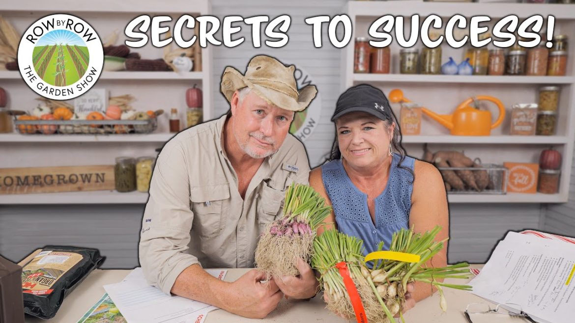 How To Be Successful At Growing Onions