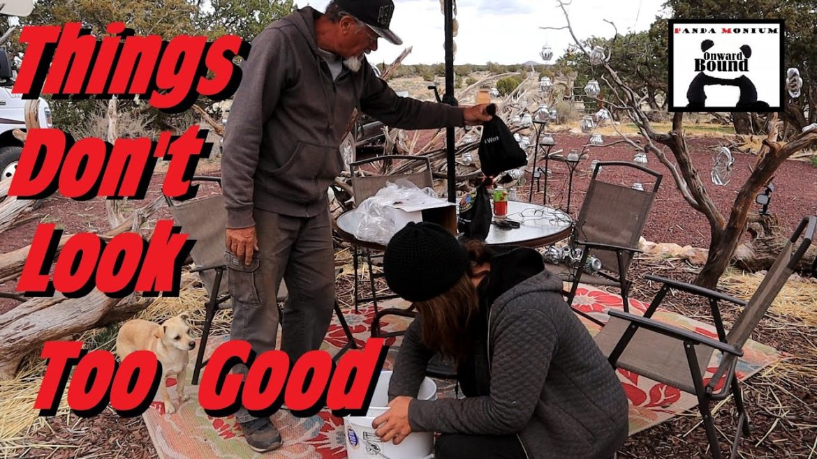 Homestead Gardening – Earthworm Catastrophe, New Auger, Sowing Seeds & Planting Edibles Homestead Gardening - Earthworm Catastrophe, New Auger, Sowing Seeds & Planting Edibles