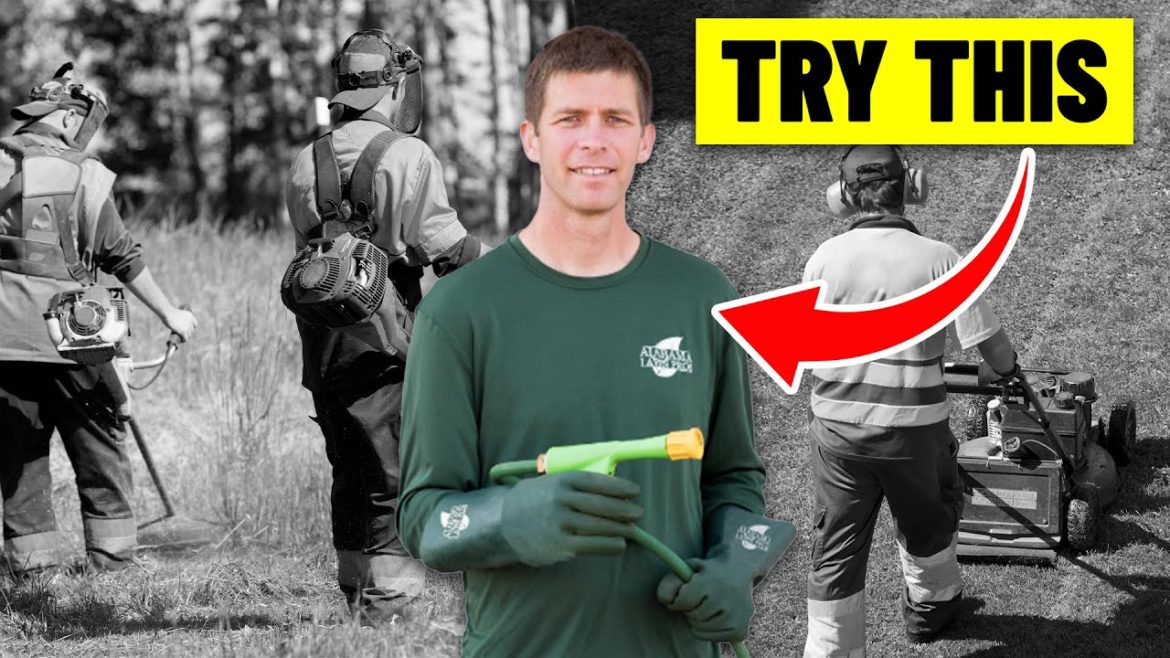 7 Tips to Stand Out in the Crowded Lawn Care Business 7 Tips to Stand Out in the Crowded Lawn Care Business