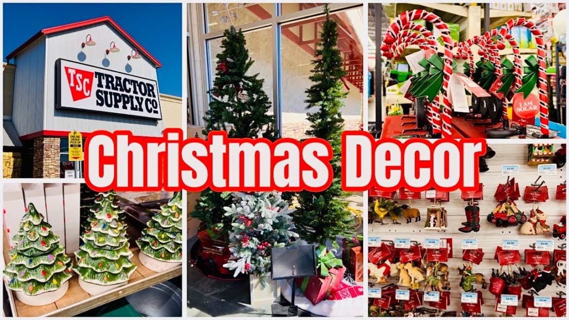 🎄 Shopping for Christmas decor at TRACTOR SUPPLY Co 🎅 store walkthrough