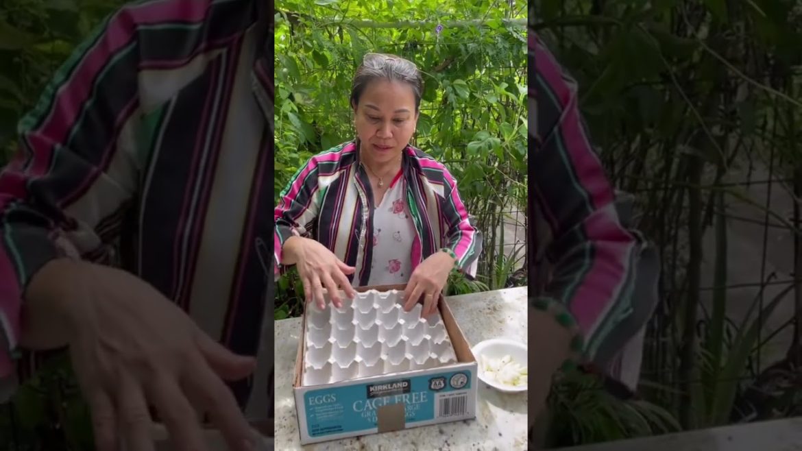 How To Grow Garlic At Home #shorts #gardening #gardeningtips