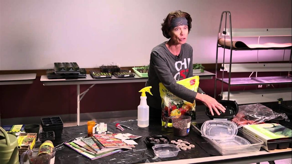 Garden Seedling Supplies: Part 1