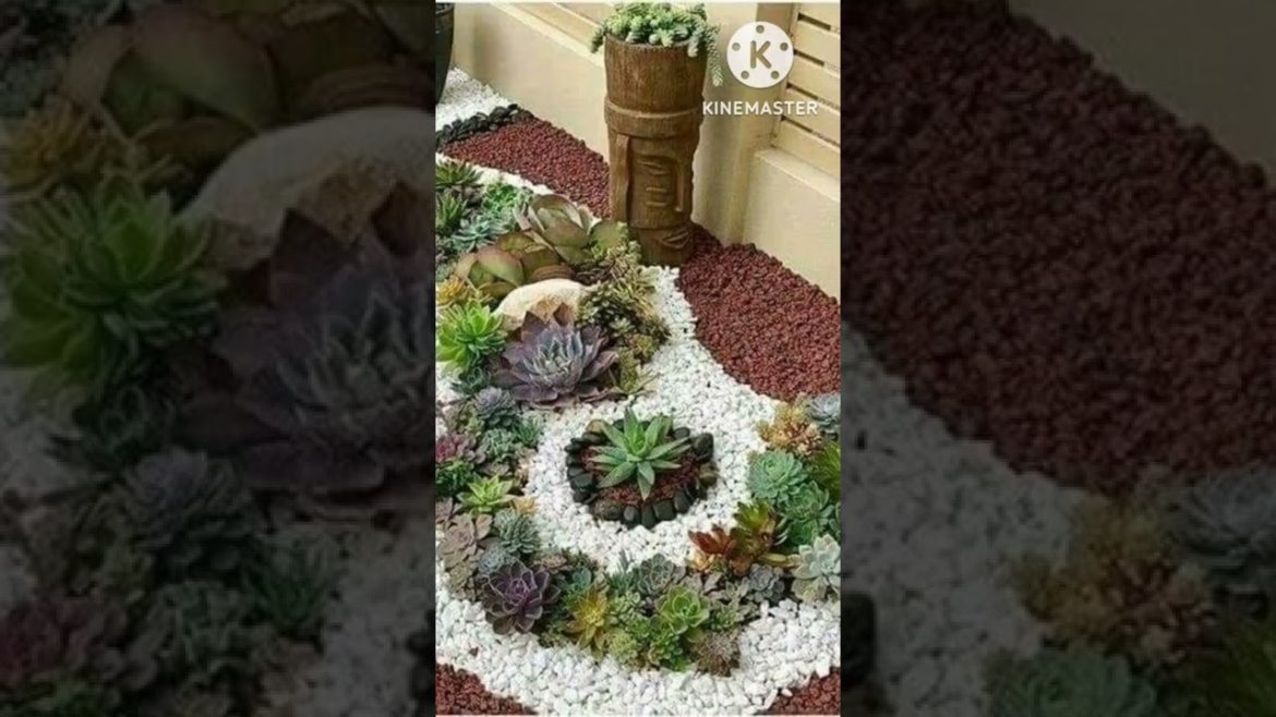 Garden decor ideas #smallgardendecor #potsandpebbles #decorwithpebbles #minigarden